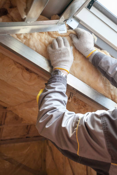 Best Wall Insulation Contractor  in Franklin Grove, IL