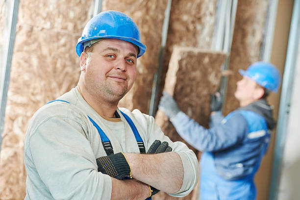 Best Professional Insulation Contractor  in Franklin Grove, IL