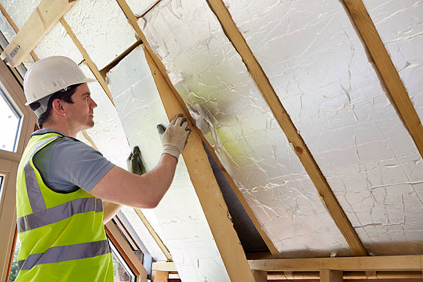 Best Professional Insulation Contractor  in Franklin Grove, IL