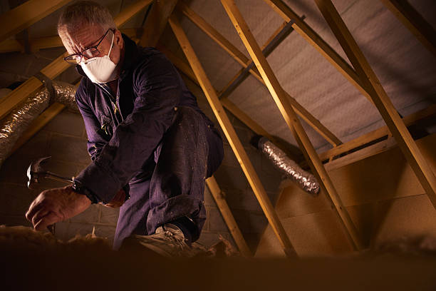 Range of Insulation Solutions in Franklin Grove, IL